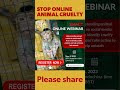 Stop animal cruelty online webinar