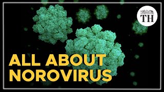 All you need to know about the Norovirus