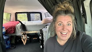 Van Bed Build, Carpet Installation and a mini tour! Van Life in a Ford e350