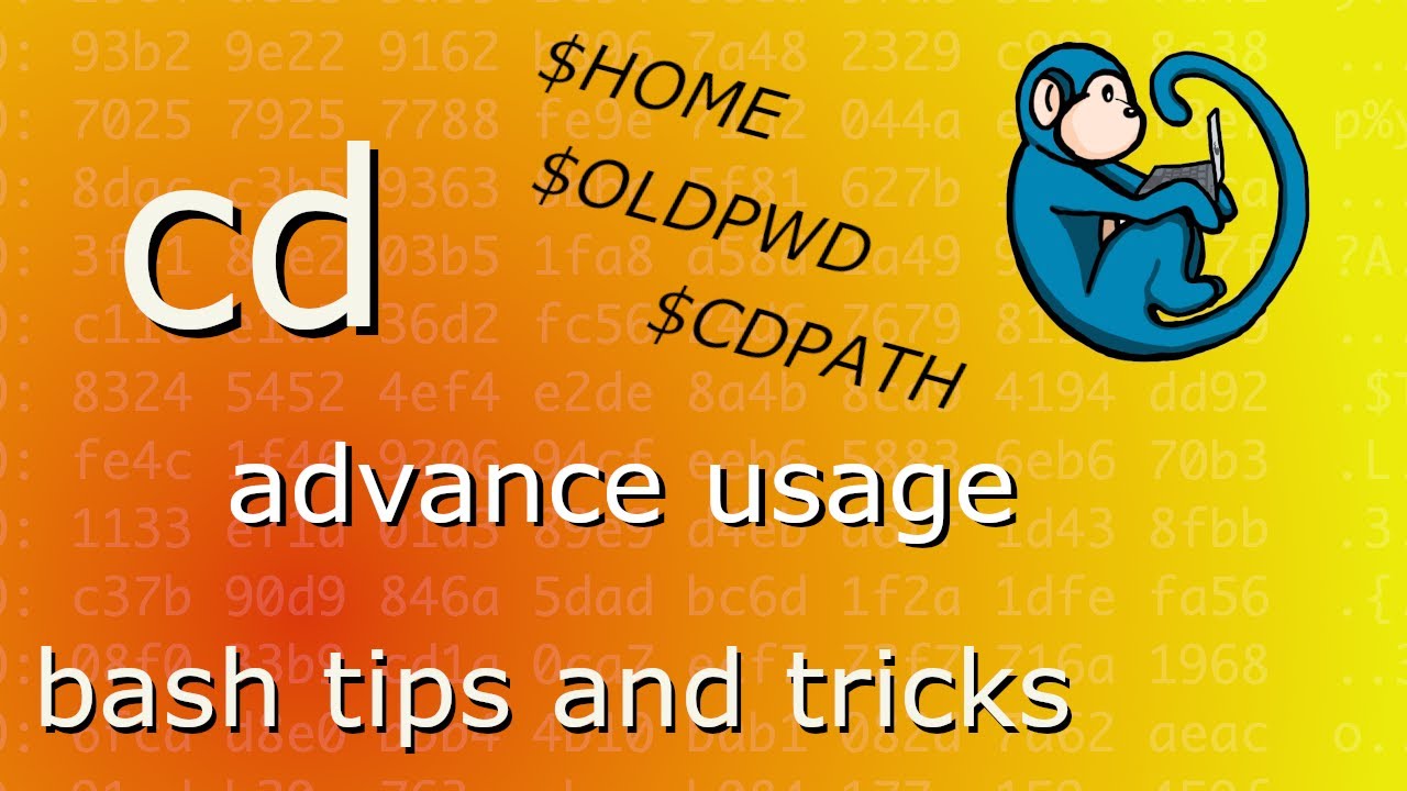 Advanced usage of the linux cd command - change directory tutorial ...