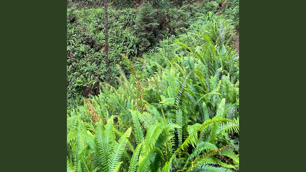 Other Worlds (feat. Vizcor)