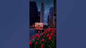 Mirrors || Justin Timberlake || Edit || Music || Aesthetic || WhatsappStatus || Foryourpage #shorts