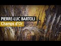 Pierreluc bartoli fait chanter les bls  la galerie guernieri  paris vido youtube