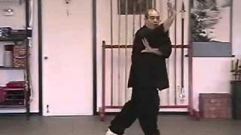 Pa Kua - Palm Changes - Follow Through Palm - Right Side