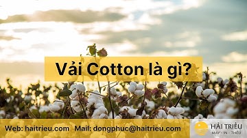 Vải cotton là gì? Phân biệt đặc tính các chất liệu vải cotton A-Z