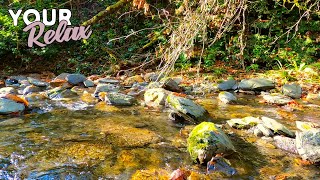 Relaxing sound of a mountain stream without birds. 6 hours of videos for relaxation and sleep.