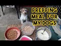 A sample meal prep for my dogs. Note that their meals vary per day.