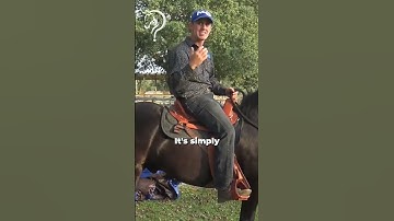 Quick Tips On Approaching An Obstacle! Part 3! | The Horse Guru - Michael Gascon