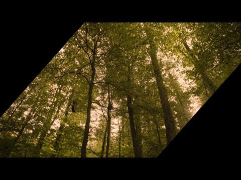 Actio Grenzgänger -