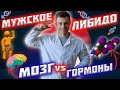 Мужское либидо. Мозг VS гормоны!