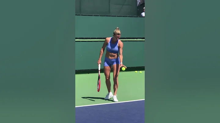 Camilla Giorgi 018-2 Sexy Exclusive Practice 2023 Indian Wells WTA - DayDayNews