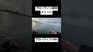 ブローウィンの最強メソッドを紹介します! #釣り #釣り好き #シーバス