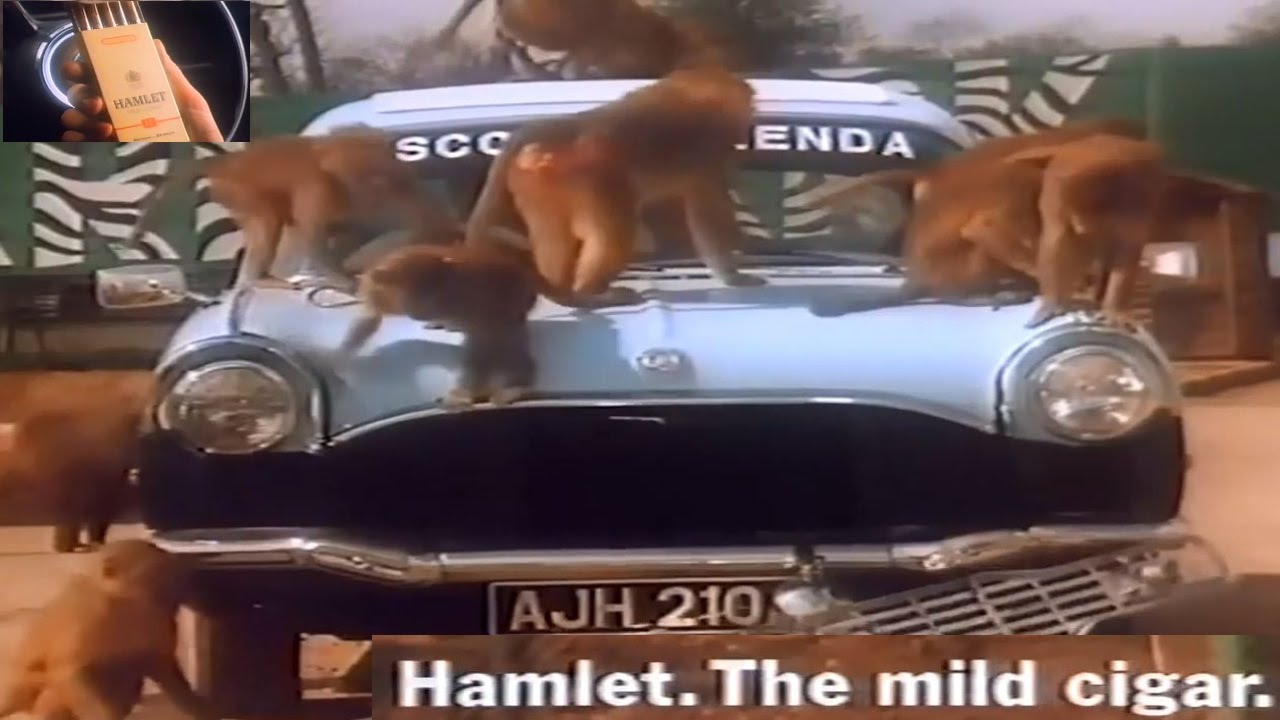 HAMLET CIGAR AD SCOTT AND BRENDA DISMANTLING CAR MONKEYS YouTube