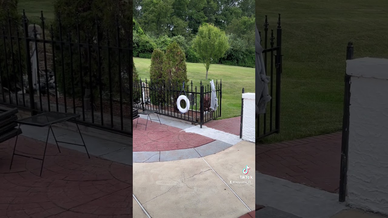 Птичка защищает своих птенцов)))Птенцов не трогали 