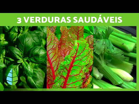 Vídeo: 3 maneiras de adicionar vegetais à sua dieta