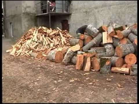 ხე-ტყის უკანონო მოპოვება-გადატანისთვის სანქციები მკაცრდება