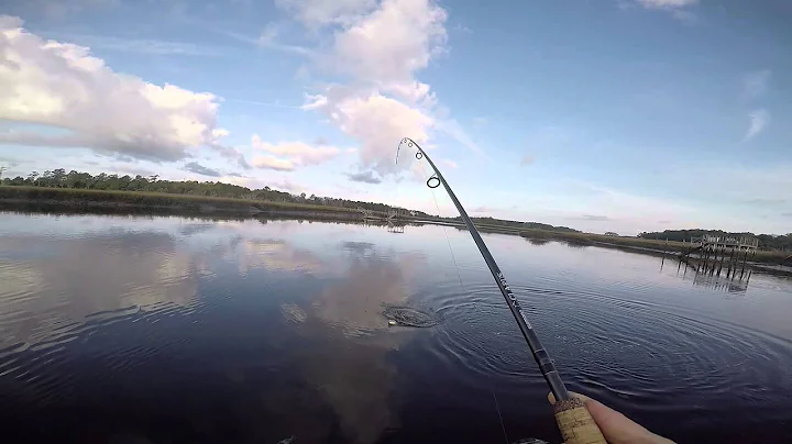 January on the Wando