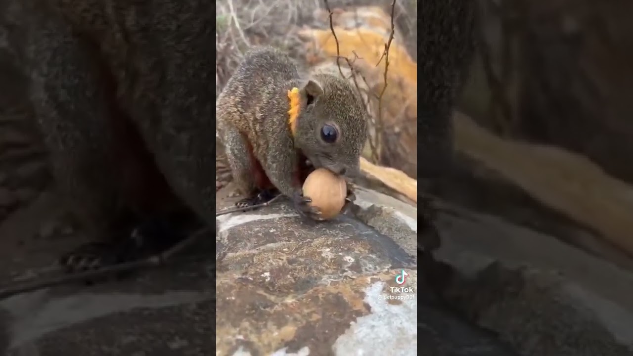 Hill side  on a beautiful day 💝