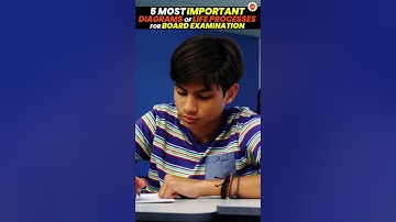 5 Important Diagram of Life Processes | Class 10 Science Biology | CBSE 2024  #LifeProcessesClass10