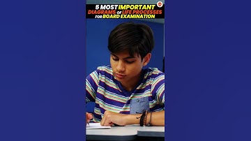 5 Important Diagram of Life Processes | Class 10 Science Biology | CBSE 2024  #LifeProcessesClass10