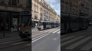 Tram PCC 7907 Sur Ligne 8 entre Stéphanie Louise STIB-MIVB 🚊🚊 4K