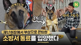 소방관 부부가 119 인명 구조견을 입양한 뒤 생긴 놀라운 일