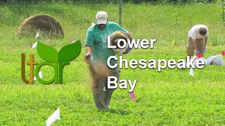 Lower Chesapeake Bay Ltar Site - Long-Term Agroecosystem Research Network