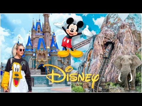 დისნეი Disney  | Animal kingdom | Part 2 | ვლოგი