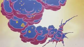 Aladdin Special Edition Trailer New