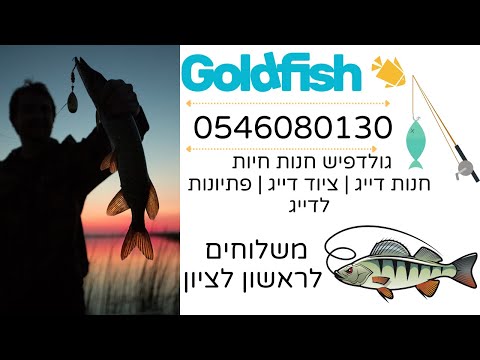 גולדפיש חנות חיות חנות דייג | ציוד דייג | פתיונות לדייג 0546080130 משלוחים לראשון לציון