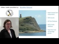 Citizan coastal and intertidal zone archaeological network