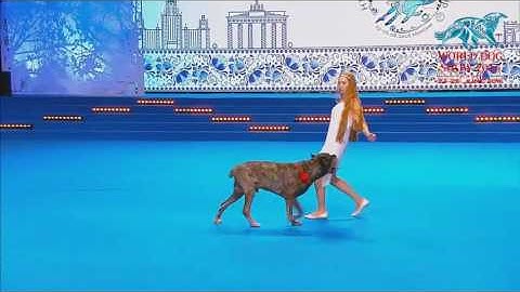 FCI Dog dance World Championship 2016 –Heelwork to music final - Rubleva Natalia and Rein (Russia)