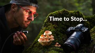 Details Knowing When to Stop | Macro Photography Update