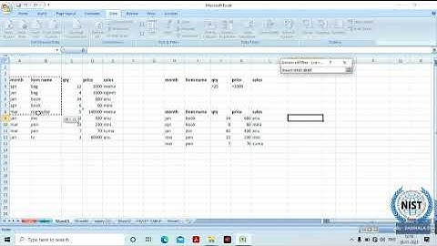Sort , Filter , Advance Filter, Data validation in MS Excel(Malayalam)