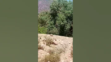 اللهم يا سامع الصوت ويا سابق الفوت ويا كاسي العظام لحما بعدالموت حمدا وشكرا لك يا قدير على كل حال 
