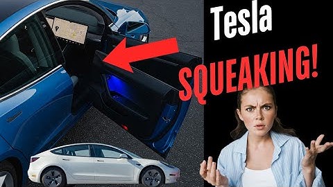 Easy Fix for Tesla Door Hinges (Model 3/Y/S/X) 🤫 SILENCE That Squeak!