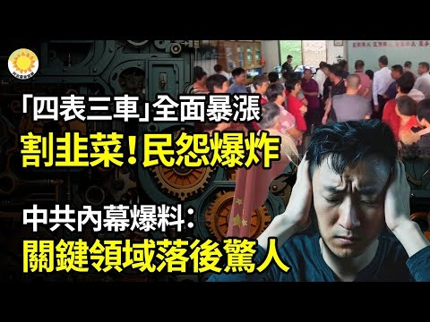 ?“四表三车”全面暴涨! 中国大力搜刮割韭菜 民生费用大涨爆民怨;知情人曝惊人内幕:中共在关键领域落后惊人;不同意白宫政策 英国警告停止向以色列出售武器只会增强哈马斯实力【阿波罗网AV】