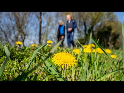 MONTAGNANA Salute E Benessere Immersi Nella Storia