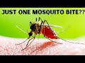 How many Mosquito bites will it take to get the Disease? The shocking truth!