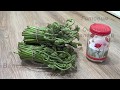 Как убрать горечь из свежесобранного папоротника Орляка. How to remove bitterness from fern.