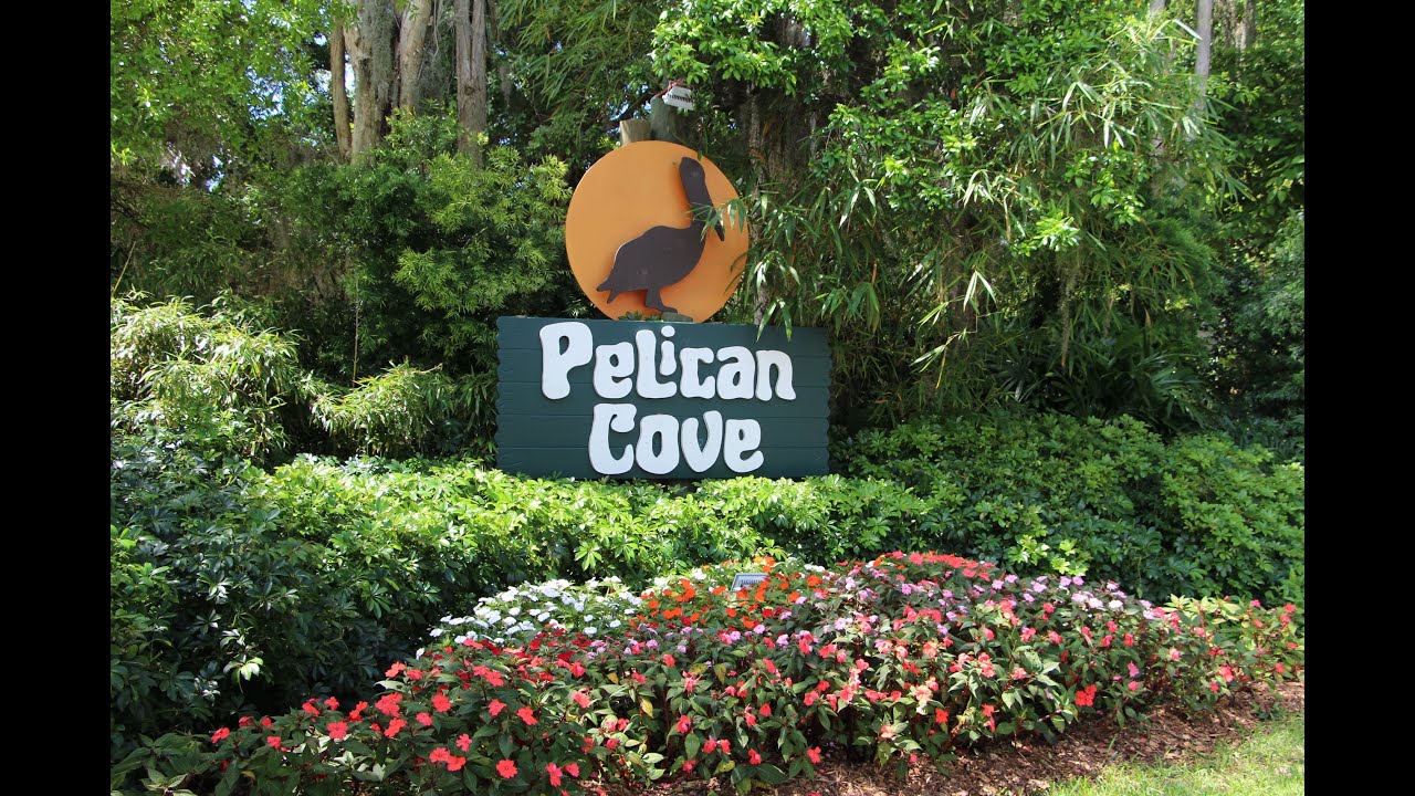Pelican Cove Condos For Sale Pelican Cove Homes Sarasota, Florida