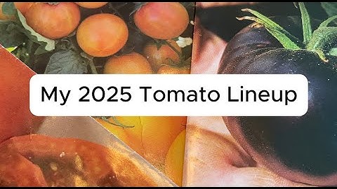 My 2025 Tomato Lineup | What Varieties Did I Choose?