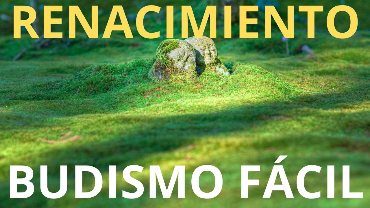 ¿Por Qué el Renacimiento Cambia Todo en Tu Vida?
