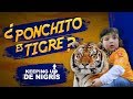 ¿Ponchito es Tigre? - Keeping up con los De Nigris