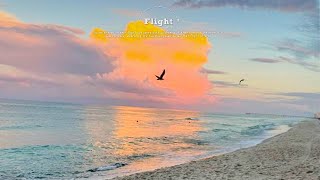 [Playlist] Summer Mood  Chill Music Playlist ~ Start your day positively with me