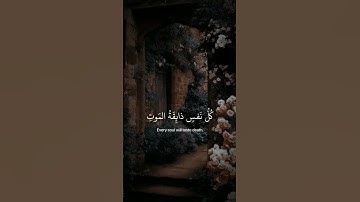 سورة  العنكبوت آية ﴿٥٦-٥٧﴾ القارئ عبدالرحمن مسعد