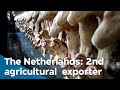 Food for thought | VPRO Documentary