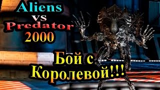 Чужой против Хищника 2000 (Aliens vs predator Classic) - часть 7 - Бой с Королевой!!! Чужой против Хищника 2000 (Aliens vs predator Classic) - часть 7 - Бой с Королевой!!!