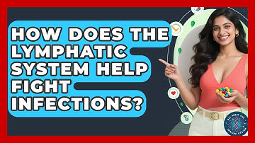 How Does the Lymphatic System Help Fight Infections? | All About the Immune System News