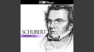 Symphony No. 8 'Unfinished Symphony' in B Minor: I. Allegro Moderato